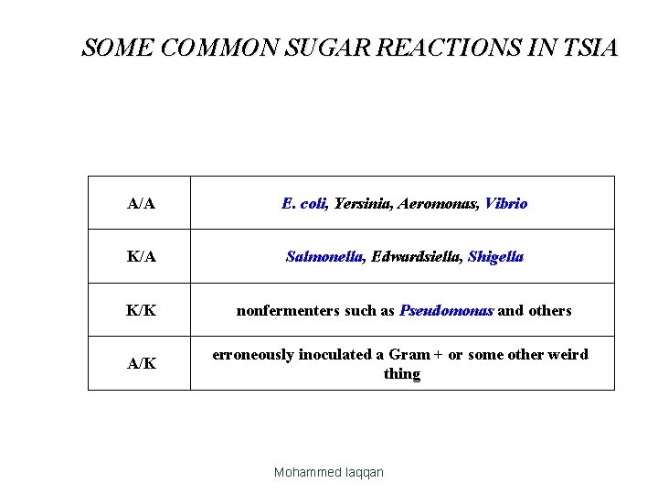 SOME COMMON SUGAR REACTIONS IN TSIA A/A E. coli, Yersinia, Aeromonas, Vibrio K/A Salmonella,