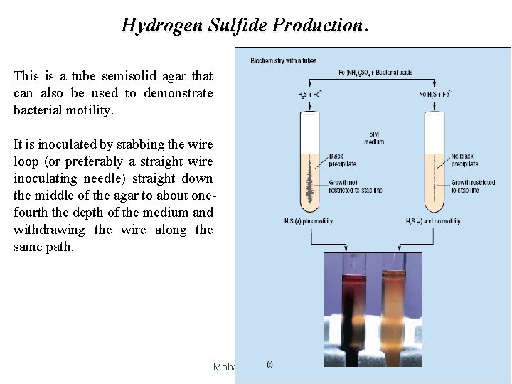 Hydrogen Sulfide Production This is a tube semisolid agar that can also be used