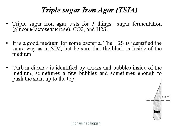 Triple sugar Iron Agar (TSIA) • Triple sugar iron agar tests for 3 things---sugar