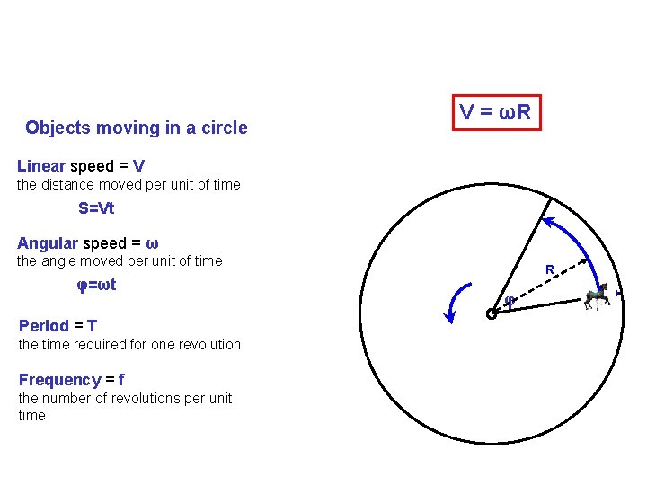 Objects moving in a circle V = ωR Linear speed = V the distance