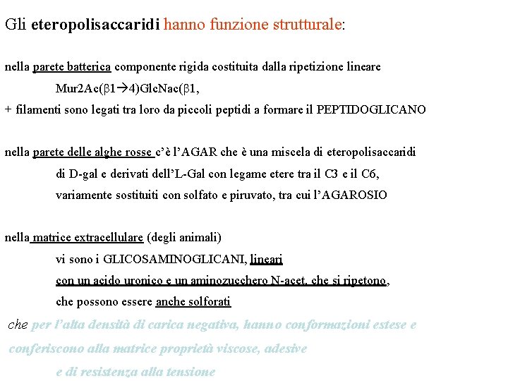 Gli eteropolisaccaridi hanno funzione strutturale: nella parete batterica componente rigida costituita dalla ripetizione lineare