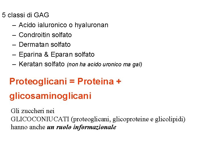 5 classi di GAG – Acido ialuronico o hyaluronan – Condroitin solfato – Dermatan