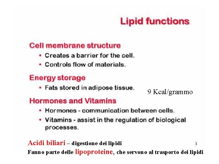 9 Kcal/grammo Acidi biliari – digestione dei lipidi Fanno parte delle lipoproteine, che servono