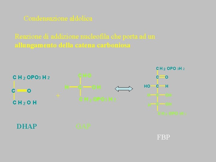 Condensazione aldolica Reazione di addizione nucleofila che porta ad un allungamento della catena carboniosa