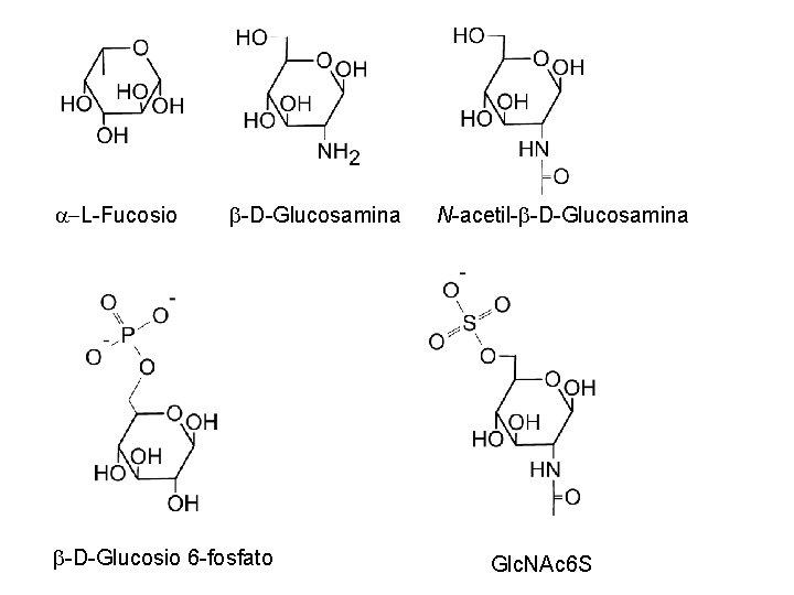 a-L-Fucosio -D-Glucosamina -D-Glucosio 6 -fosfato N-acetil- -D-Glucosamina Glc. NAc 6 S 