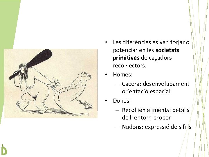  • Les diferències es van forjar o potenciar en les societats primitives de