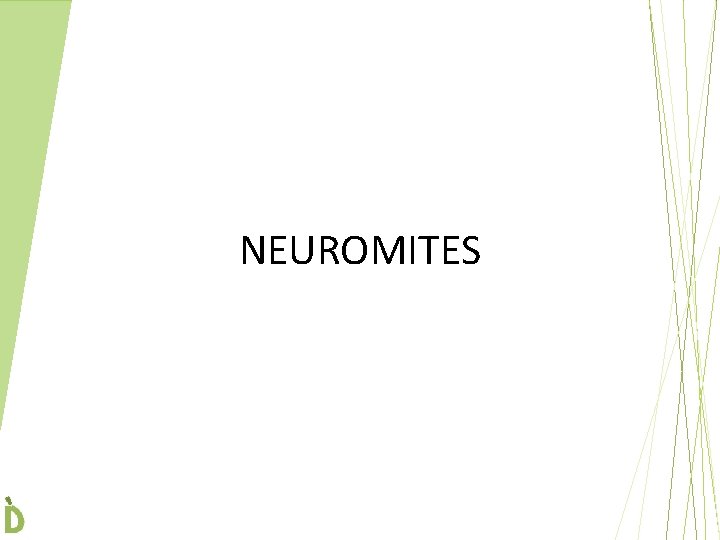 NEUROMITES 