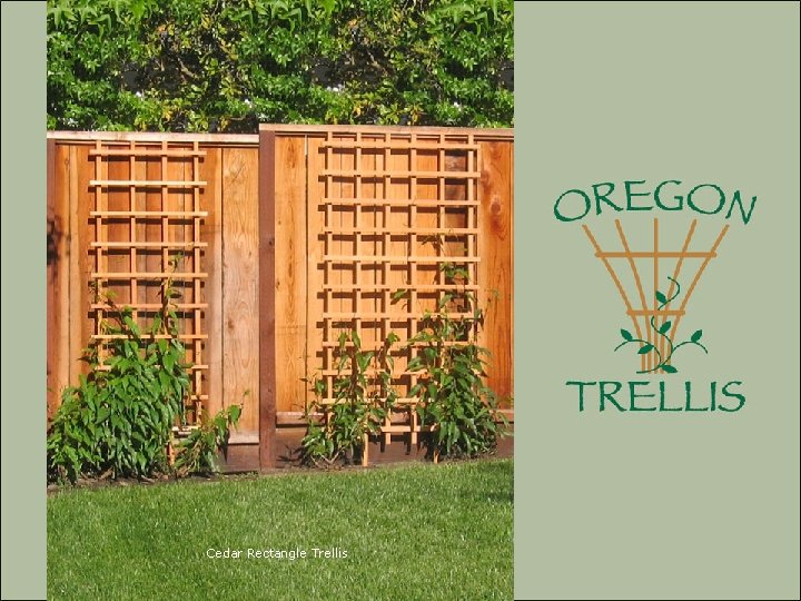 Cedar Rectangle Trellis 