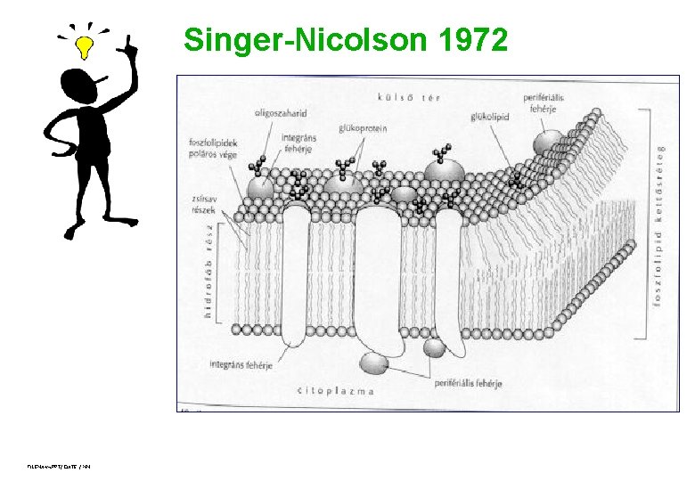 Singer-Nicolson 1972 FILENAMs. PPT/ DATE / NN 