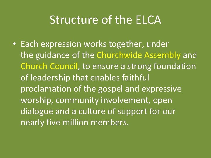 Structure of the ELCA • Each expression works together, under the guidance of the