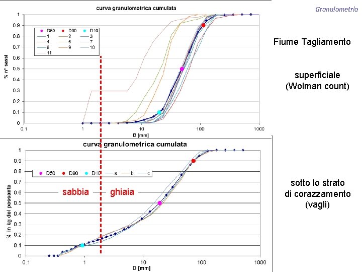 Granulometria Fiume Tagliamento superficiale (Wolman count) sabbia ghiaia sotto lo strato di corazzamento (vagli)