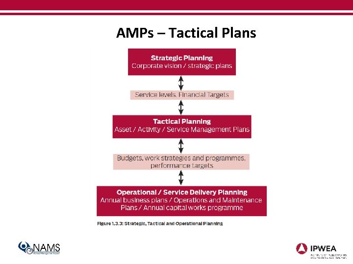 AMPs – Tactical Plans 