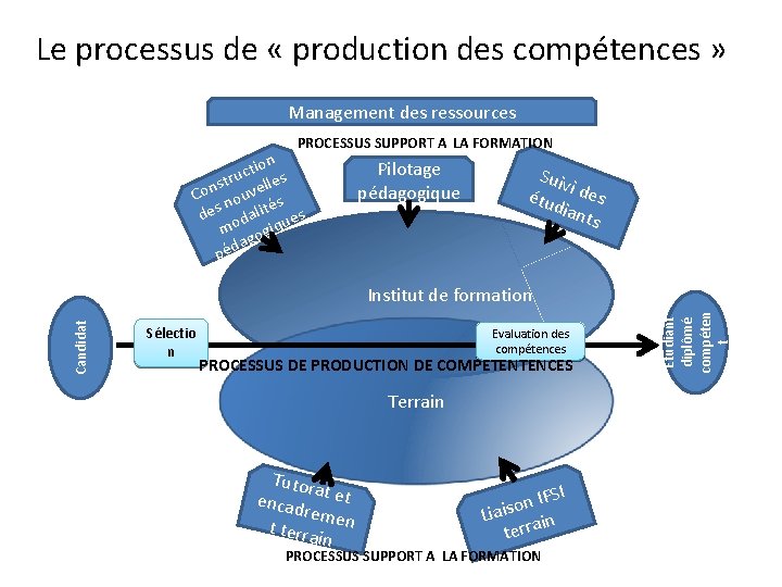 Le processus de « production des compétences » Management des ressources PROCESSUS SUPPORT A