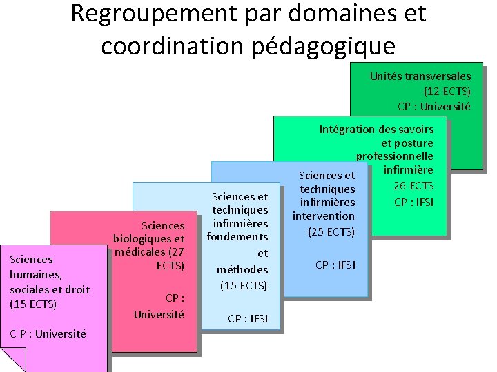 Regroupement par domaines et coordination pédagogique Unités transversales (12 ECTS) CP : Université Sciences