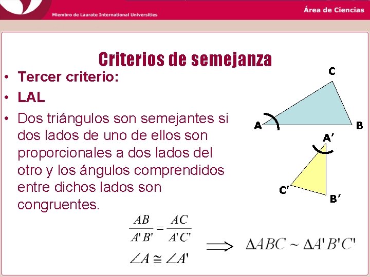 Criterios de semejanza • Tercer criterio: • LAL • Dos triángulos son semejantes si Criterios de semejanza • Tercer criterio: • LAL • Dos triángulos son semejantes si