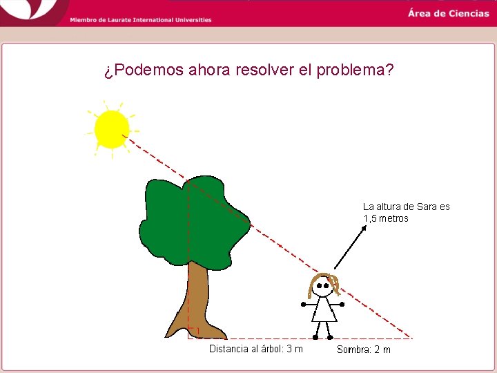 ¿Podemos ahora resolver el problema? La altura de Sara es 1, 5 metros ¿Podemos ahora resolver el problema? La altura de Sara es 1, 5 metros