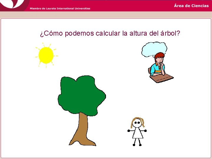 ¿Cómo podemos calcular la altura del árbol? ¿Cómo podemos calcular la altura del árbol?