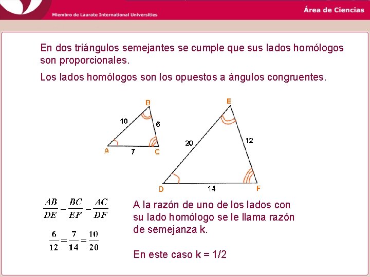 En dos triángulos semejantes se cumple que sus lados homólogos son proporcionales. Los lados En dos triángulos semejantes se cumple que sus lados homólogos son proporcionales. Los lados