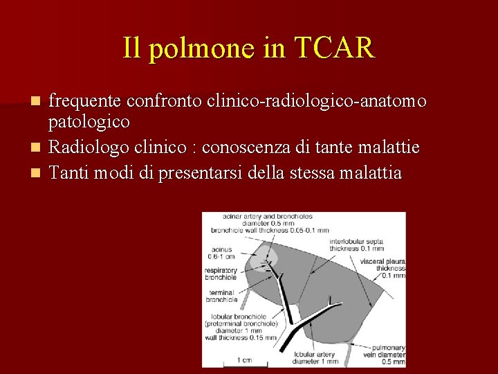 Il polmone in TCAR frequente confronto clinico-radiologico-anatomo patologico n Radiologo clinico : conoscenza di