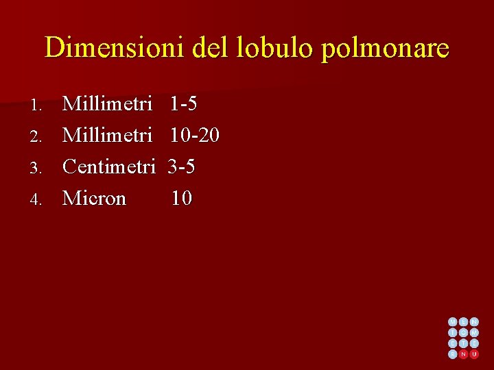Dimensioni del lobulo polmonare Millimetri 2. Millimetri 3. Centimetri 4. Micron 1. 1 -5