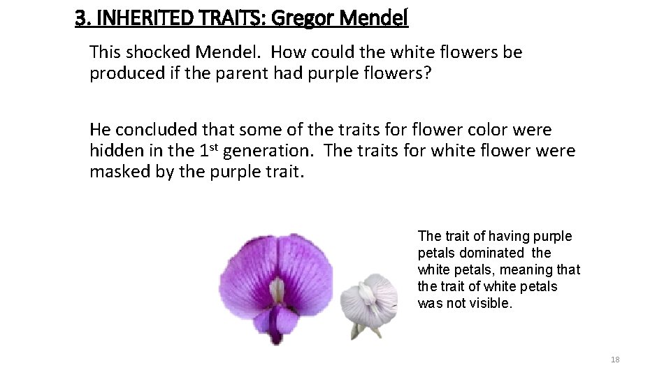 3. INHERITED TRAITS: Gregor Mendel This shocked Mendel. How could the white flowers be