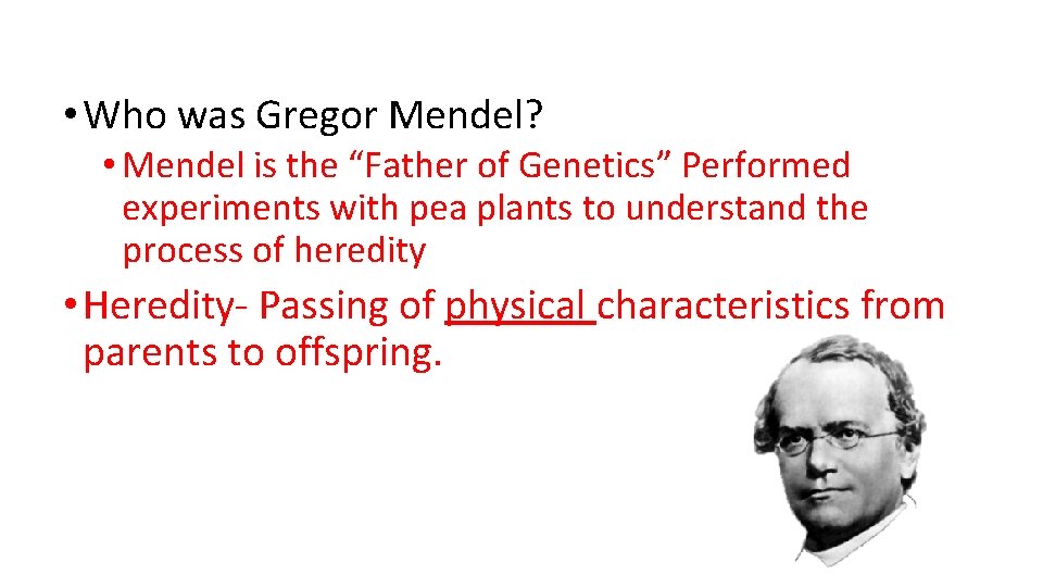  • Who was Gregor Mendel? • Mendel is the “Father of Genetics” Performed