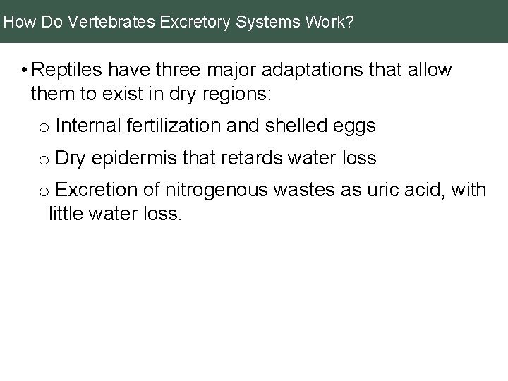 How Do Vertebrates Excretory Systems Work? • Reptiles have three major adaptations that allow