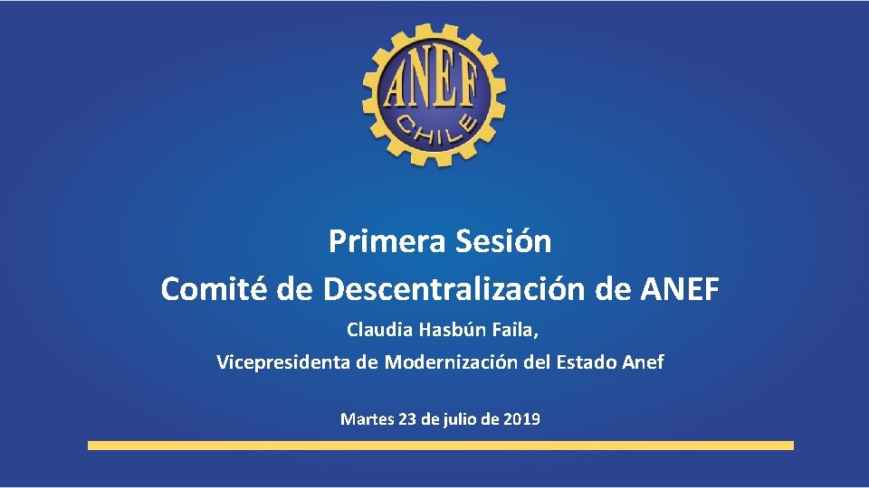 Primera Sesión Comité de Descentralización de ANEF Claudia Hasbún Faila, Vicepresidenta de Modernización del