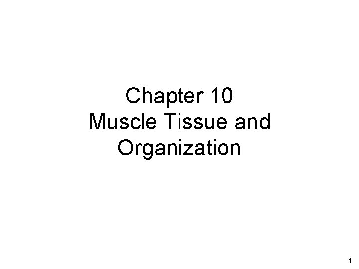 Chapter 10 Muscle Tissue and Organization 1 