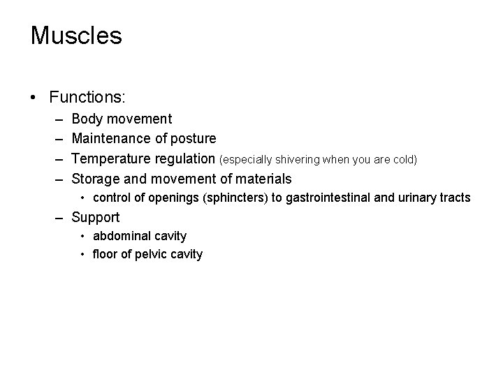 Muscles • Functions: – – Body movement Maintenance of posture Temperature regulation (especially shivering