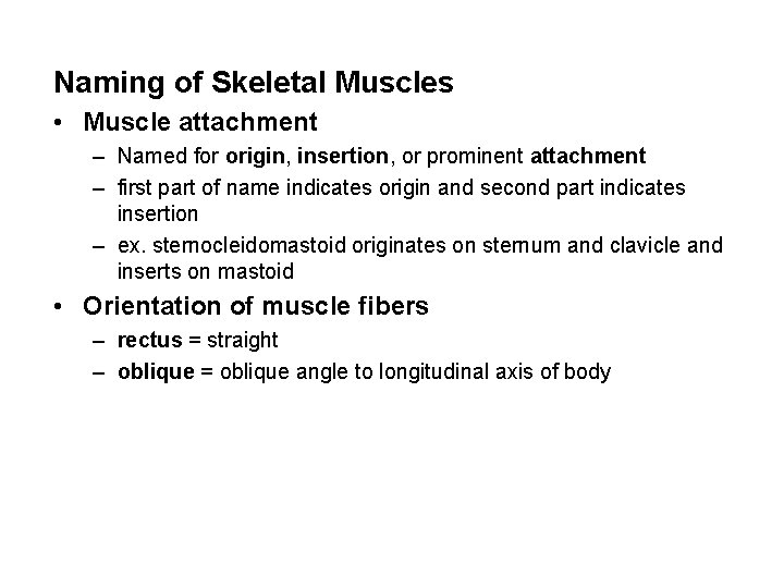 Naming of Skeletal Muscles • Muscle attachment – Named for origin, insertion, or prominent