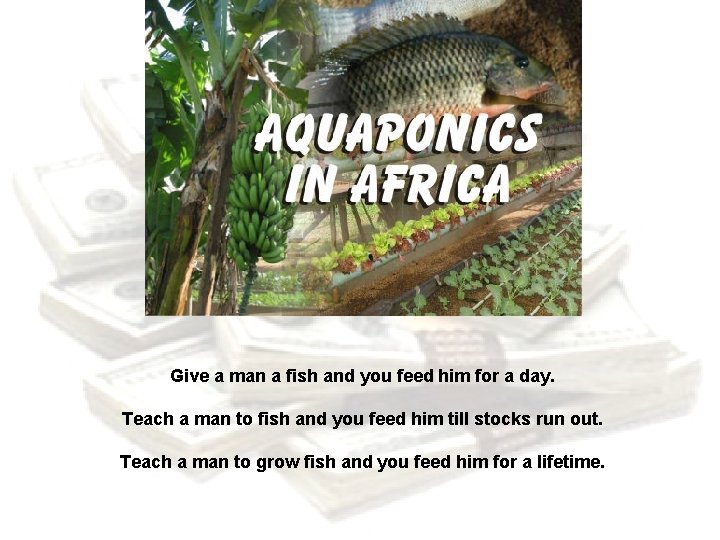 Give a man a fish and you feed him for a day. Teach a