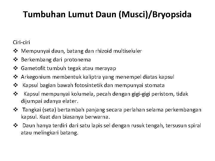 Tumbuhan Lumut Daun (Musci)/Bryopsida Ciri-ciri v Mempunyai daun, batang dan rhizoid multiseluler v Berkembang