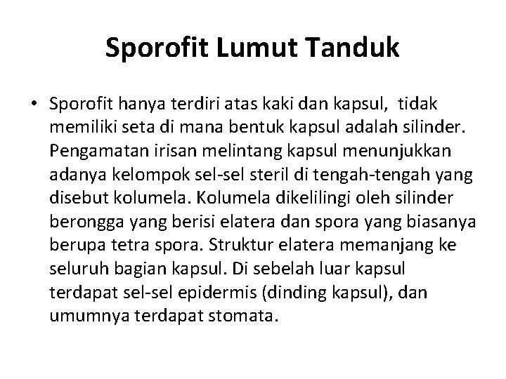 Sporofit Lumut Tanduk • Sporofit hanya terdiri atas kaki dan kapsul, tidak memiliki seta