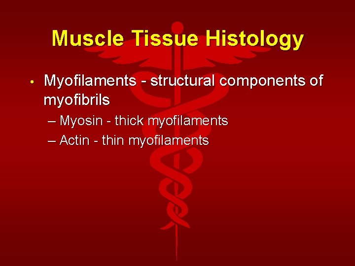 Muscle Tissue Histology • Myofilaments - structural components of myofibrils – Myosin - thick