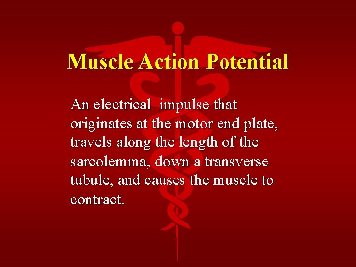 Muscle Action Potential An electrical impulse that originates at the motor end plate, travels