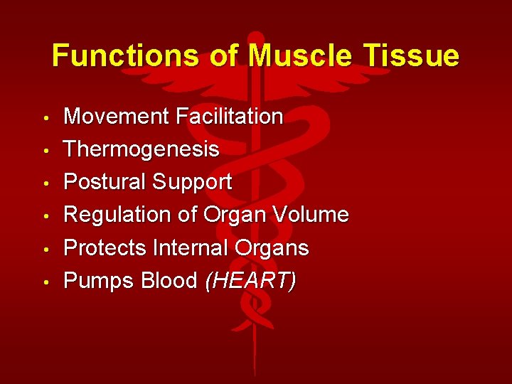 Functions of Muscle Tissue • • • Movement Facilitation Thermogenesis Postural Support Regulation of
