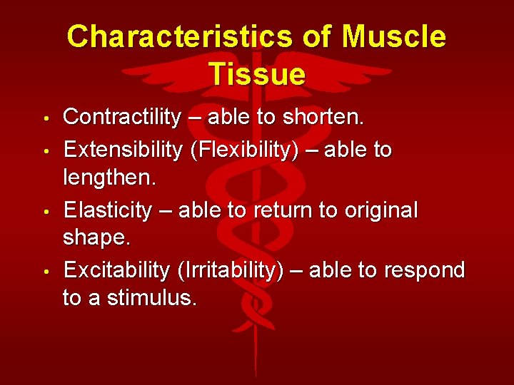 Characteristics of Muscle Tissue • • Contractility – able to shorten. Extensibility (Flexibility) –