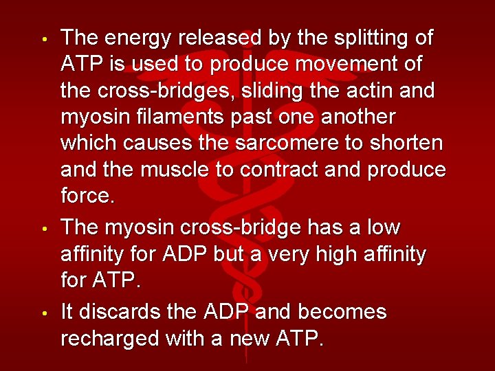  • • • The energy released by the splitting of ATP is used