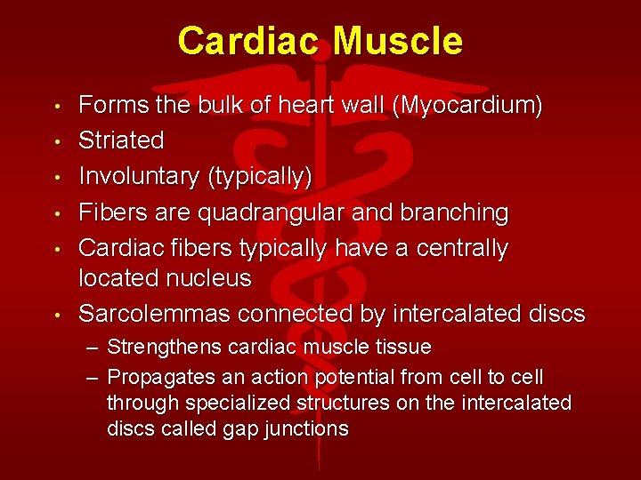 Cardiac Muscle • • • Forms the bulk of heart wall (Myocardium) Striated Involuntary