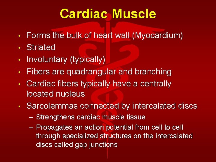 Cardiac Muscle • • • Forms the bulk of heart wall (Myocardium) Striated Involuntary