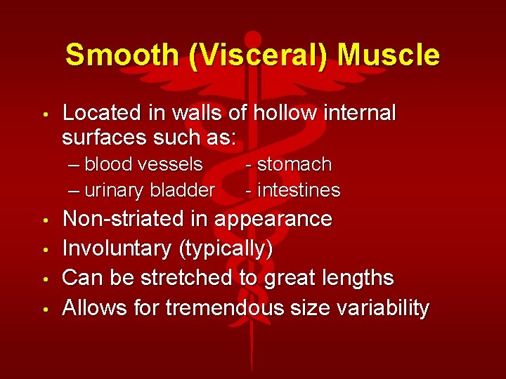 Smooth (Visceral) Muscle • Located in walls of hollow internal surfaces such as: –