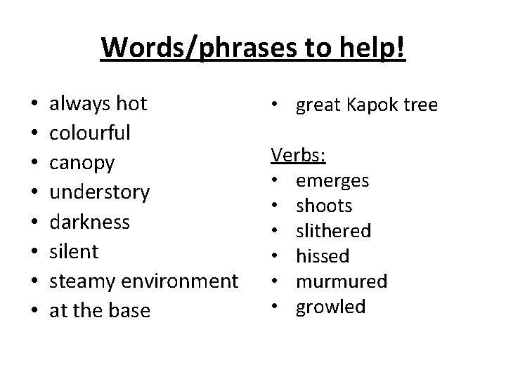 Words/phrases to help! • • always hot colourful canopy understory darkness silent steamy environment