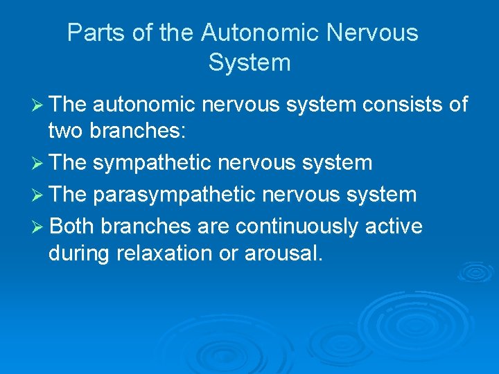 Parts of the Autonomic Nervous System Ø The autonomic nervous system consists of two