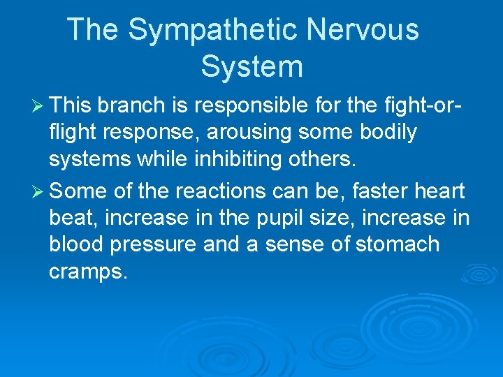 The Sympathetic Nervous System Ø This branch is responsible for the fight-or- flight response,