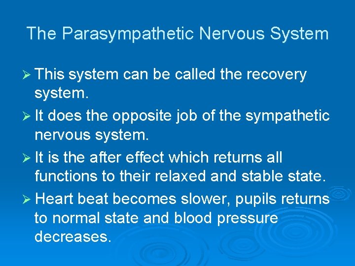 The Parasympathetic Nervous System Ø This system can be called the recovery system. Ø