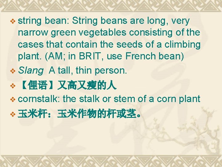 v string bean: String beans are long, very narrow green vegetables consisting of the