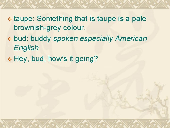 v taupe: Something that is taupe is a pale brownish-grey colour. v bud: buddy