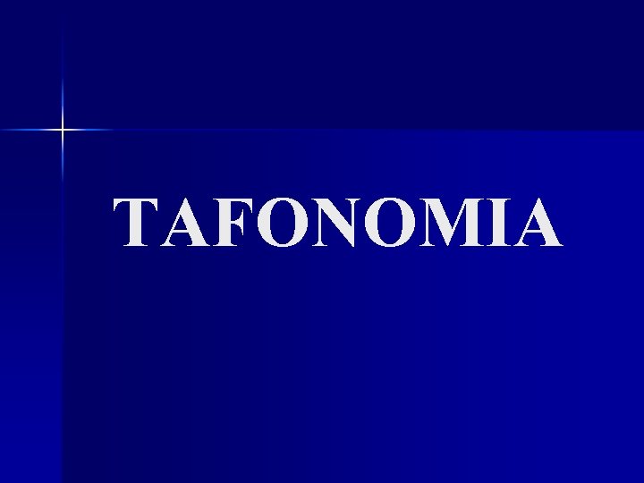 TAFONOMIA 