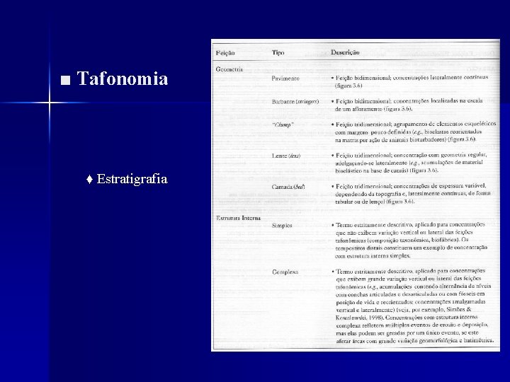 ■ Tafonomia ♦ Estratigrafia 